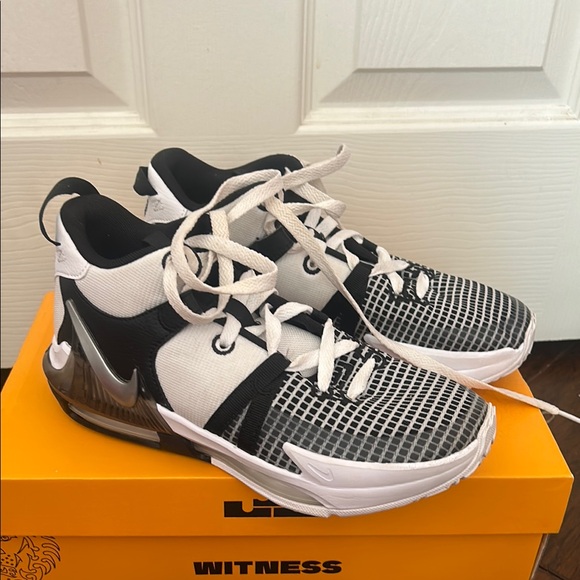 Nike Lebron Witness VII